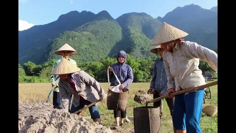 Dân mạng sợ hãi chuyện người yêu thao túng tâm lý sau scandal tình ái Lim Feng